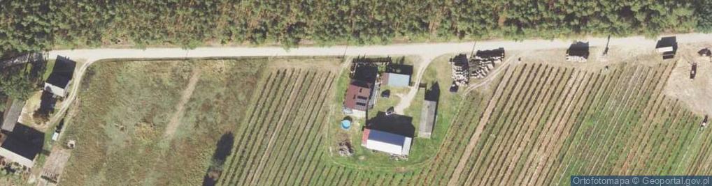 Zdjęcie satelitarne Fajum ul.