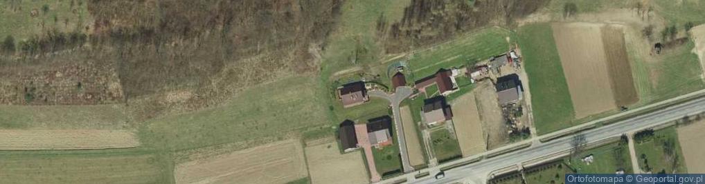 Zdjęcie satelitarne Faliszewice ul.