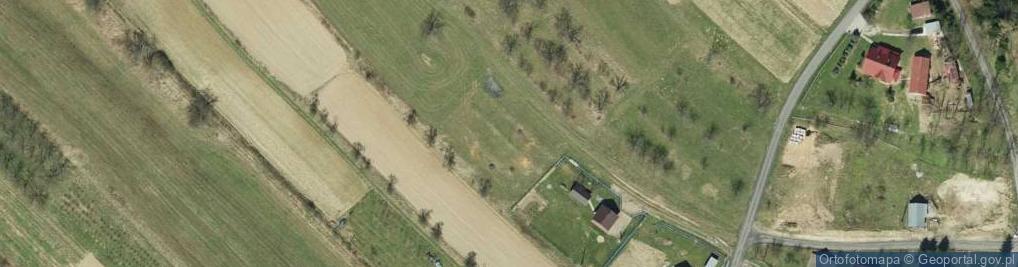 Zdjęcie satelitarne Faliszewice ul.