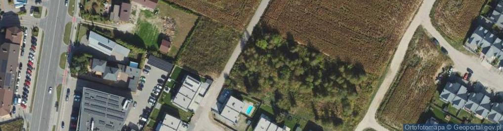 Zdjęcie satelitarne Fedorowicz Aliny ul.