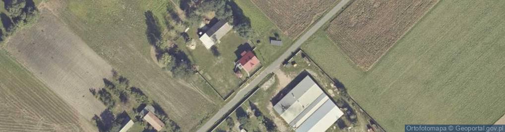 Zdjęcie satelitarne Felicjanów ul.