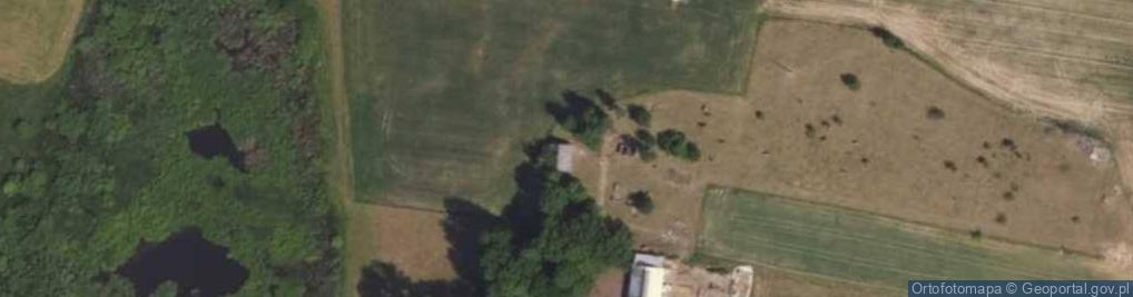 Zdjęcie satelitarne Filipów Trzeci ul.