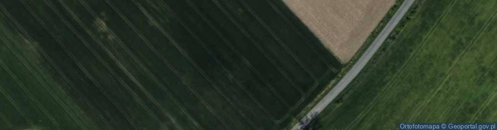 Zdjęcie satelitarne Filipów ul.
