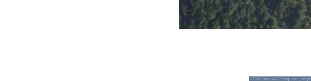 Zdjęcie satelitarne Flory ul.