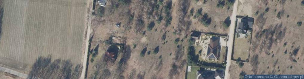 Zdjęcie satelitarne Florentynów ul.