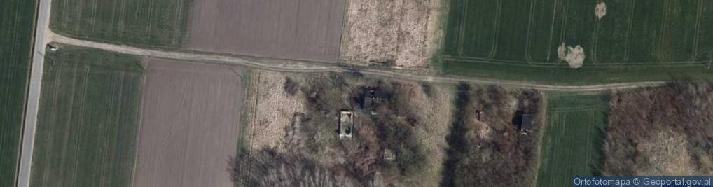 Zdjęcie satelitarne Florentynów ul.