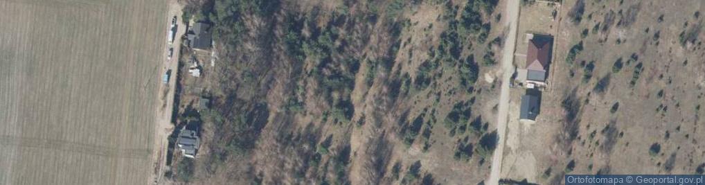 Zdjęcie satelitarne Florentynów ul.