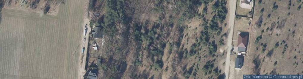 Zdjęcie satelitarne Florentynów ul.