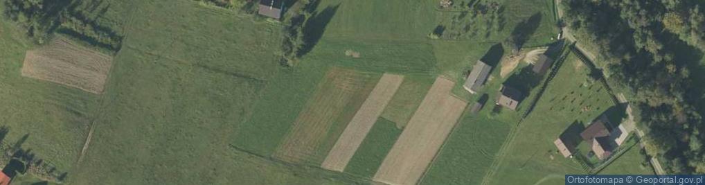 Zdjęcie satelitarne Florynka ul.