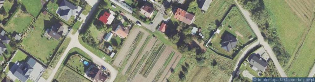 Zdjęcie satelitarne Forsycji ul.