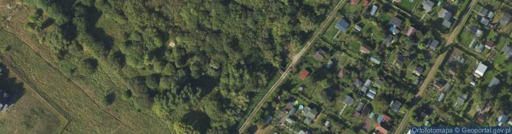 Zdjęcie satelitarne Formeli Apolinarego ul.