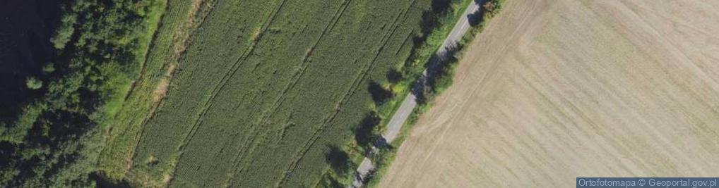 Zdjęcie satelitarne Fromborska ul.