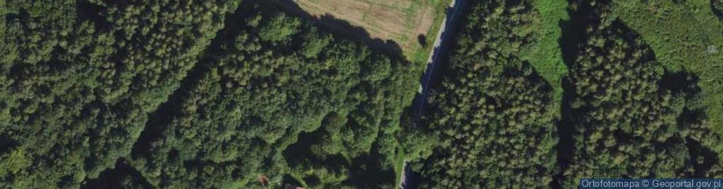 Zdjęcie satelitarne Fromborska ul.