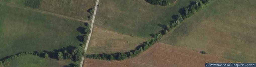 Zdjęcie satelitarne Gajowa ul.