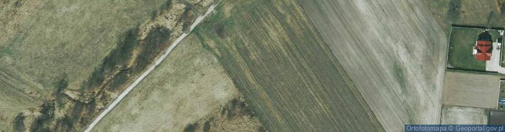 Zdjęcie satelitarne Gajowa ul.