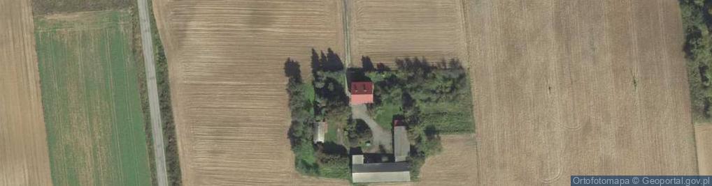 Zdjęcie satelitarne Gajowa ul.