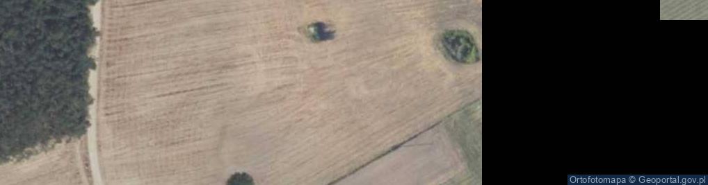 Zdjęcie satelitarne Gadomiec-Trojany ul.