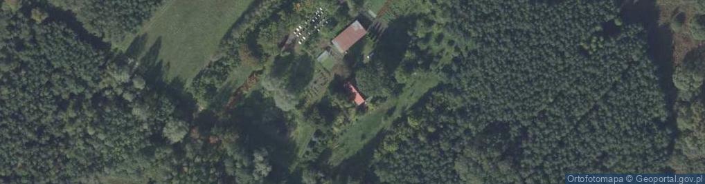 Zdjęcie satelitarne Gałęzów ul.