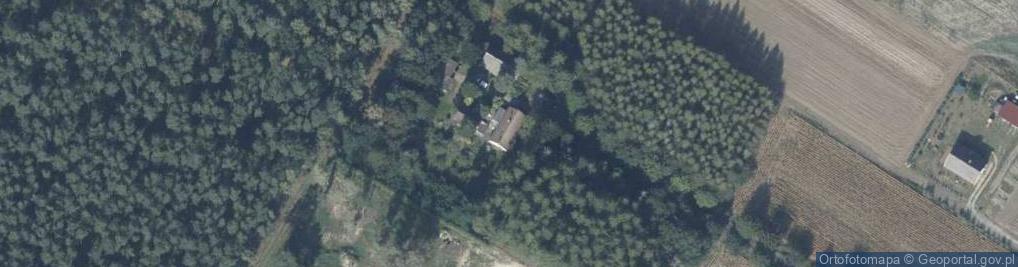 Zdjęcie satelitarne Gajowa ul.