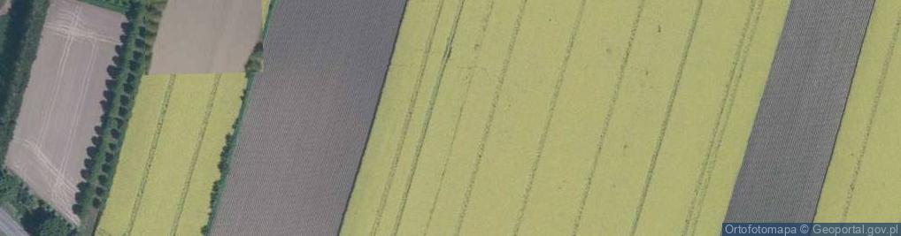 Zdjęcie satelitarne Gajowa ul.