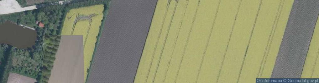 Zdjęcie satelitarne Gajowa ul.