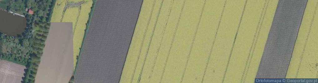 Zdjęcie satelitarne Gajowa ul.