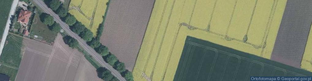 Zdjęcie satelitarne Gajowa ul.