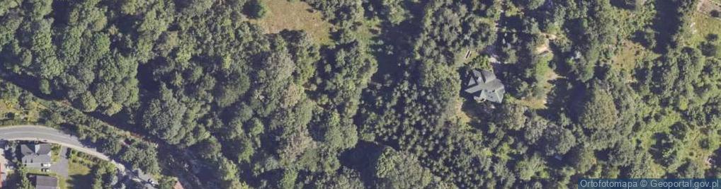 Zdjęcie satelitarne Gajowa ul.