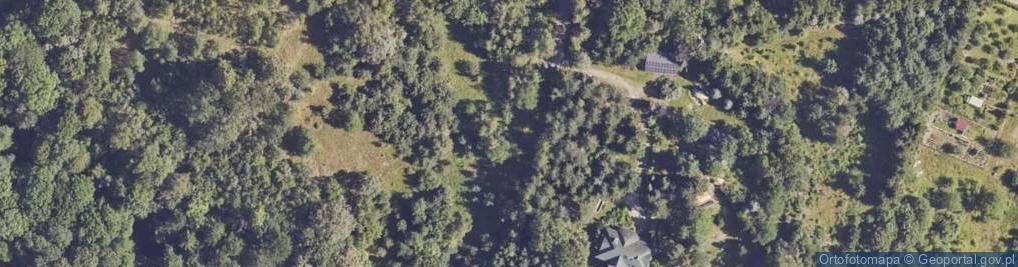 Zdjęcie satelitarne Gajowa ul.
