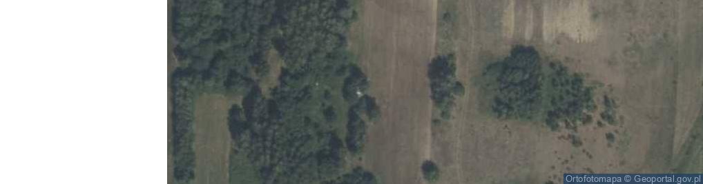 Zdjęcie satelitarne Gajowa ul.