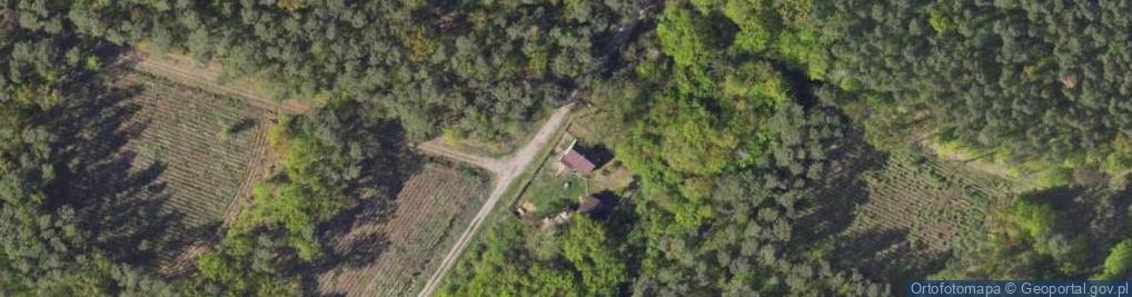 Zdjęcie satelitarne Gajowa ul.