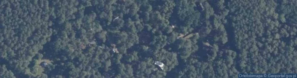 Zdjęcie satelitarne Gdańska ul.