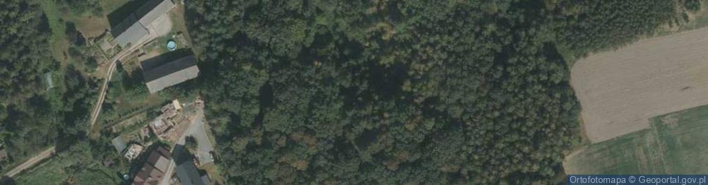 Zdjęcie satelitarne Gierałcice ul.