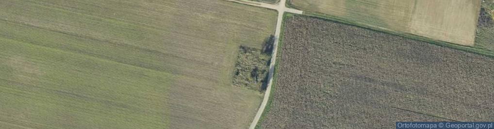 Zdjęcie satelitarne Głębocko ul.