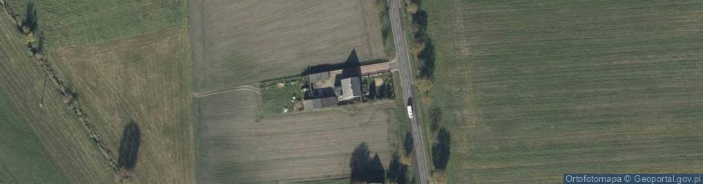 Zdjęcie satelitarne Głoginin ul.