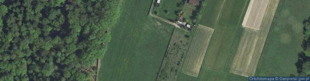 Zdjęcie satelitarne Głogoczów ul.
