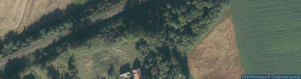 Zdjęcie satelitarne Głogowiec ul.