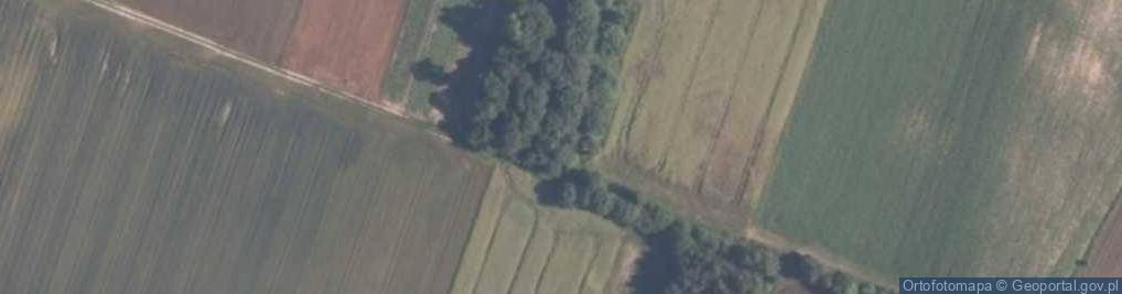 Zdjęcie satelitarne Głogowiany-Wrzosy ul.