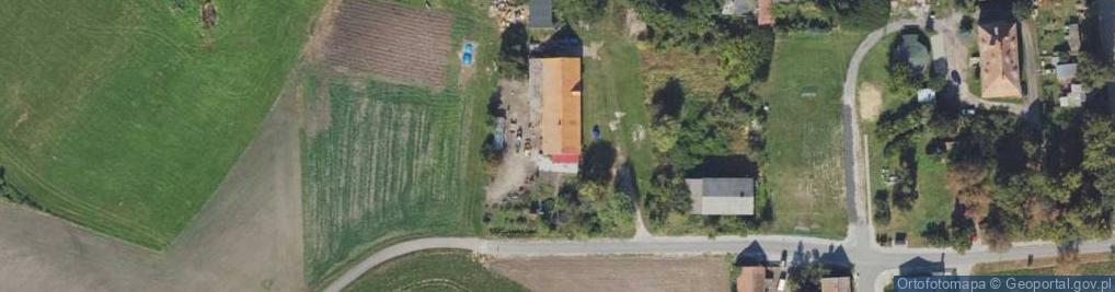 Zdjęcie satelitarne Głogowiniec ul.