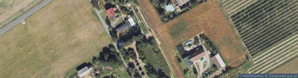 Zdjęcie satelitarne Głogówko Królewskie ul.
