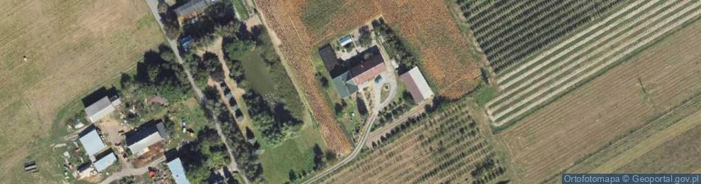 Zdjęcie satelitarne Głogówko Królewskie ul.