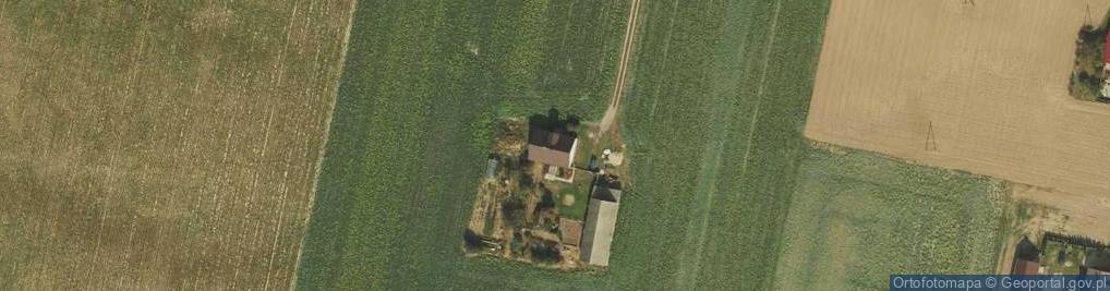Zdjęcie satelitarne Główina ul.