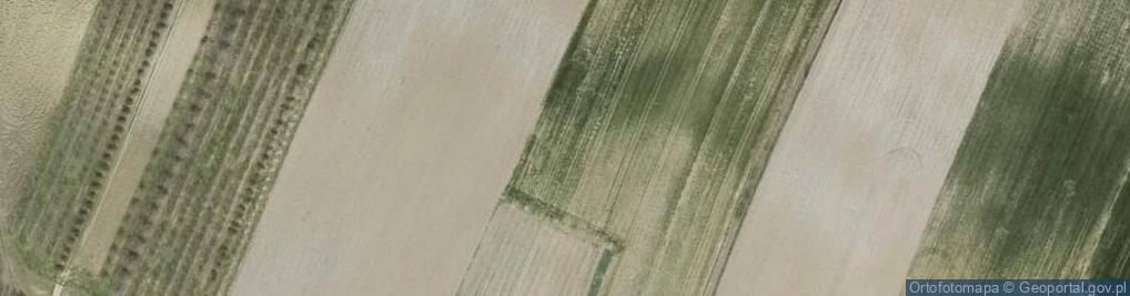 Zdjęcie satelitarne Głuchów Dolny ul.