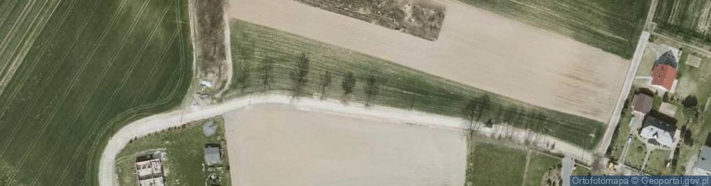 Zdjęcie satelitarne Głuchów Górny ul.