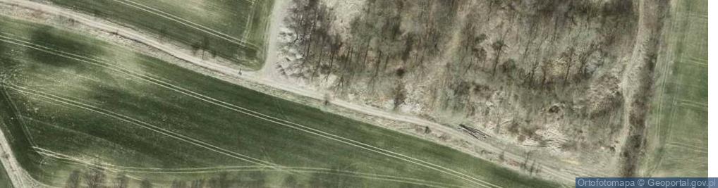 Zdjęcie satelitarne Głuchów Górny ul.