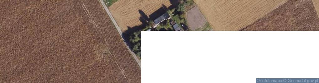 Zdjęcie satelitarne Głuchowo ul.