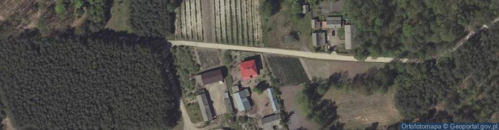Zdjęcie satelitarne Głusko Duże-Kolonia ul.