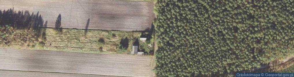 Zdjęcie satelitarne Głuszyna ul.