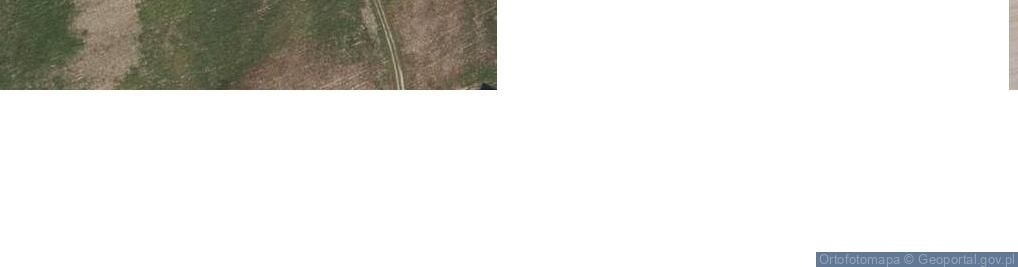 Zdjęcie satelitarne Głuszynek ul.