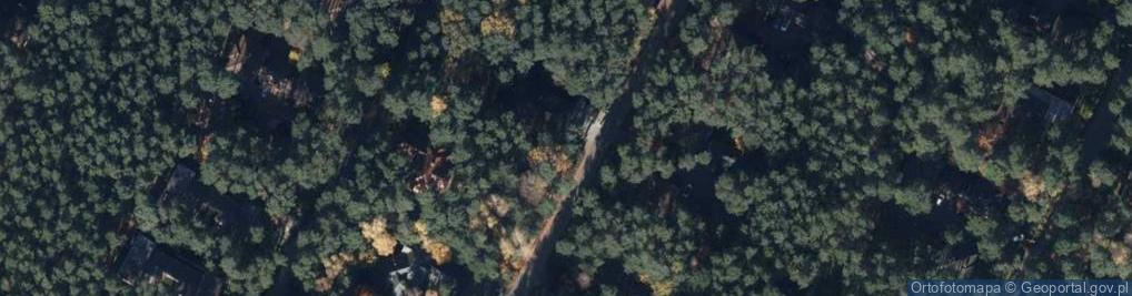 Zdjęcie satelitarne Głogowa ul.